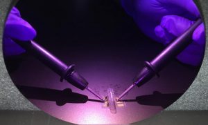 Pores stop gold wires cracking in membrane for medical wearables