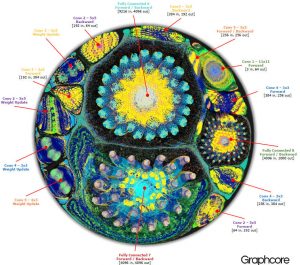 Graphcore visualises artificial intelligence in action