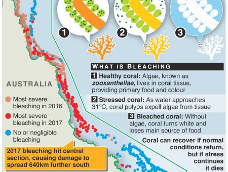 #GreatBarrierReef off coast of #Australia hit by mass bleaching – an annotated infographic