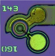 Cardiff laser conference hears about 50Gbit/s data rates