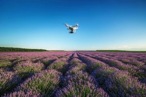Smart farming methods need IoT technologies