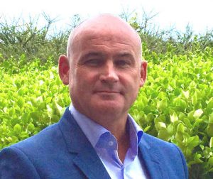 Compound semiconductor Catapult gets CEO