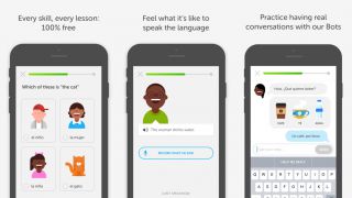 Duolingo made me 26% fluent in idiot