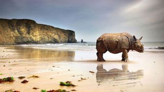 Perfect your photos wherever you are with Adobe Creative Cloud Photography plan