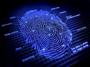 In-display fingerprint sensors to make breakthrough this year