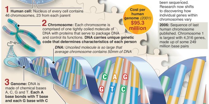Discovery of DNA double helix – 65th anniversary of Crick and Watson’s landmark work – an annotated infographic