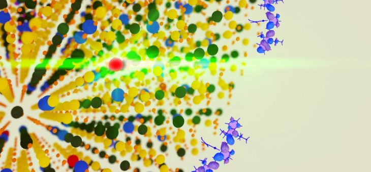 Picture of the Day: Organic dyes work as antennas to convert light