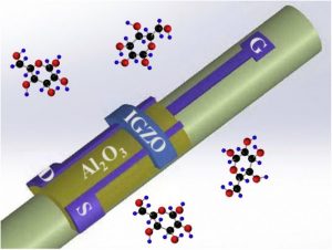Oxide transistor printed around 1mm tube, for medical diagnosis