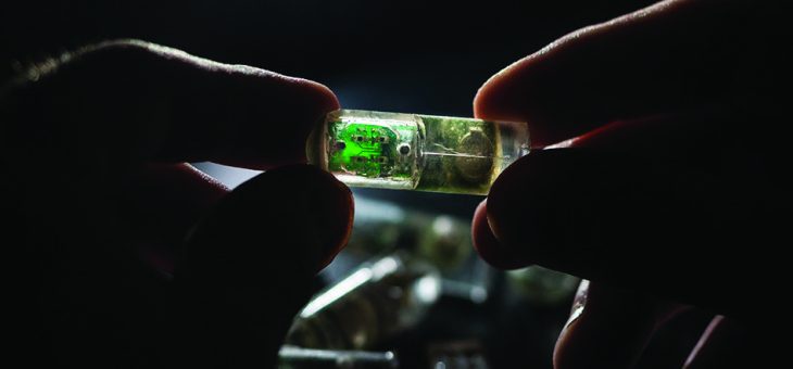 Picture of the Day: MIT’s bacterial-electronic sensor wirelessly uploads gut data