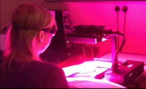 IR, red and violet leds cure ulcers