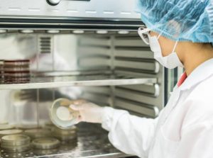 Scottish sensors grow micro-organisms better