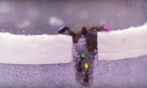 Lazy ants make better robots