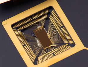 China RISC-V Consortium Has 50 members